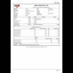 Pay Slip for Mohd Areef Ali