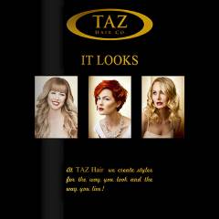 TAZ Hair Co. – Styles Flip Book