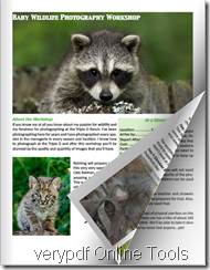 VeryPDF Online Flipbook